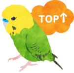 topへ戻る